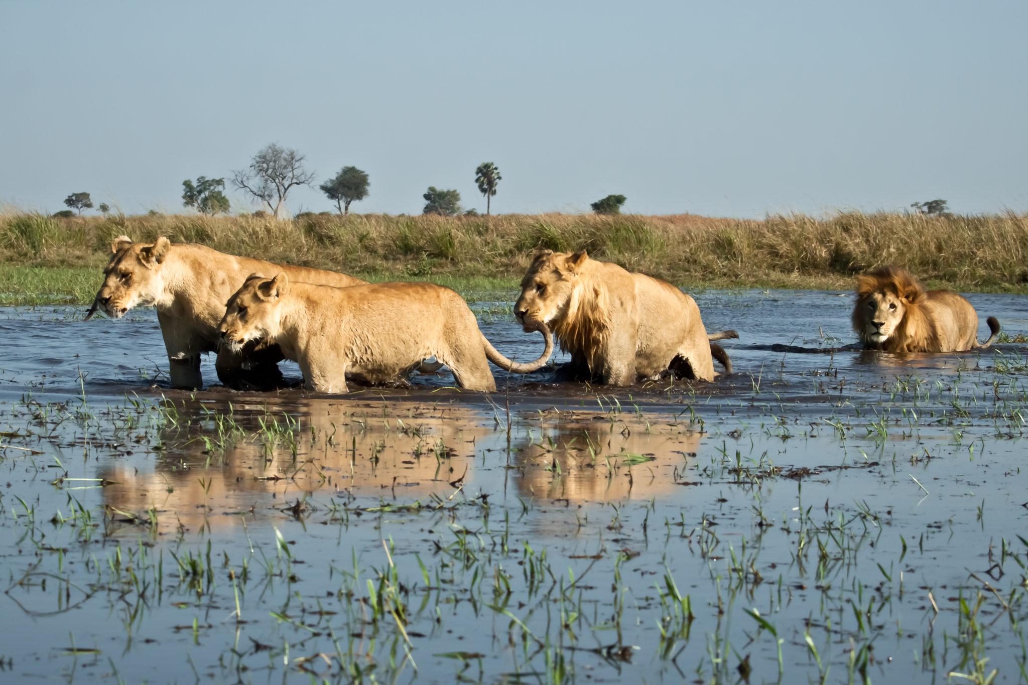 Start a Reservation visual data 8