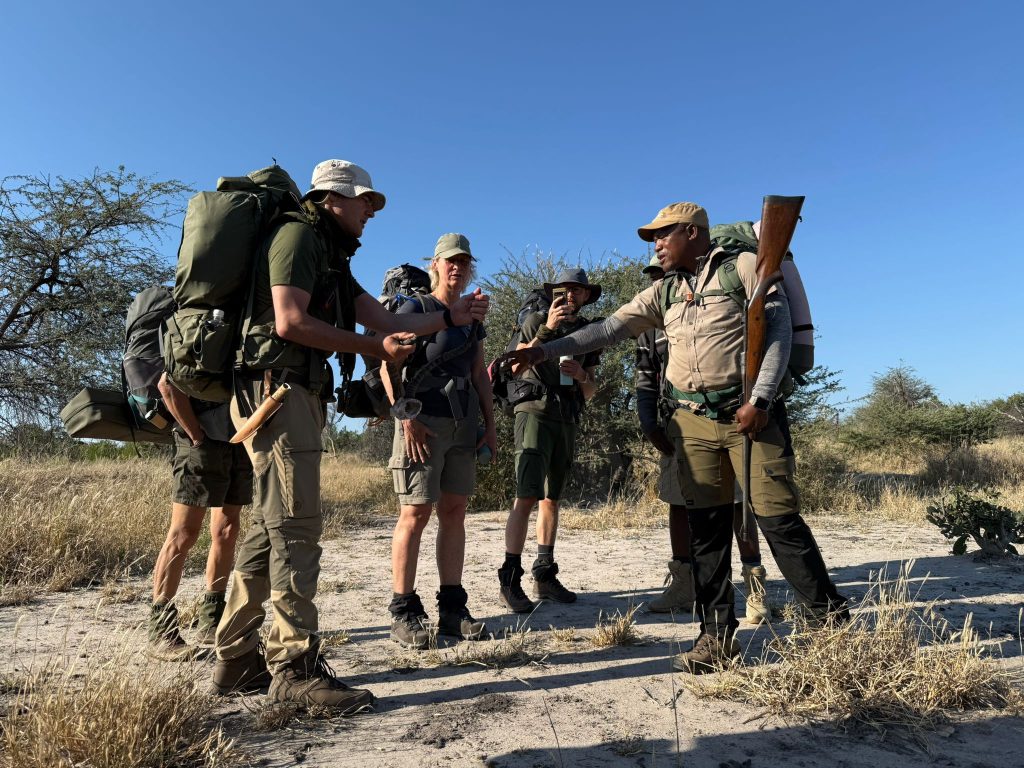 Okavango Delta Safari