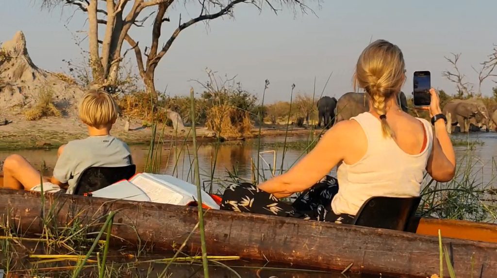 Moremi Game Reserve Safari