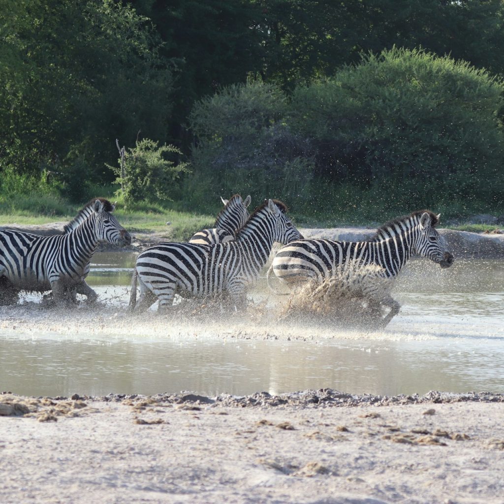 Nxai Pan National Park